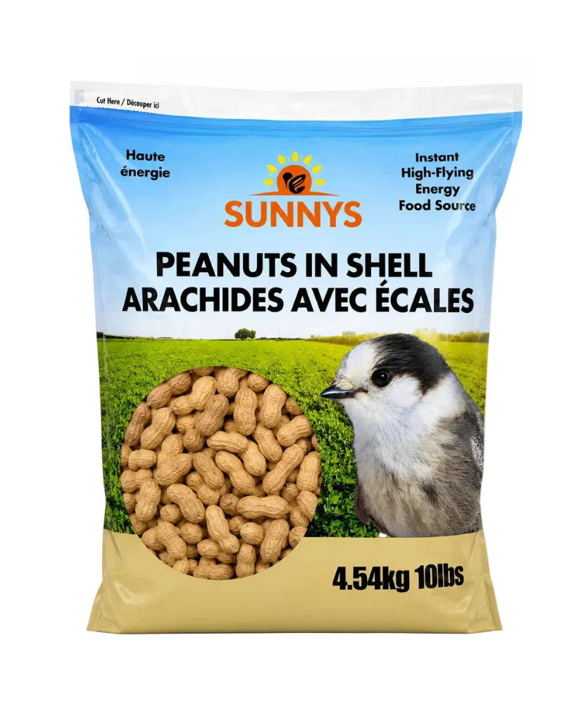 PEANUTS IN SHELL