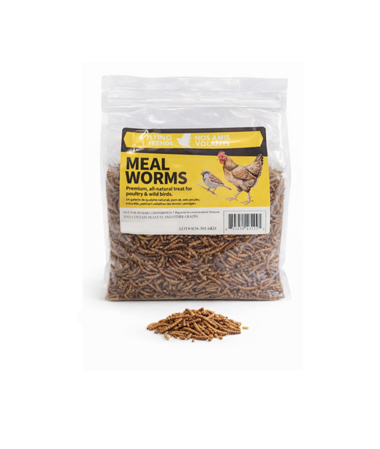 MEALWORMS DRIED 2.3KG