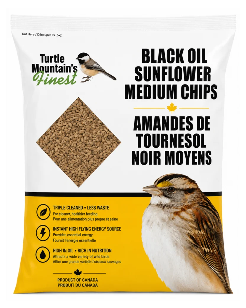 BLACK OIL SUNFLOWER MEDIUM CHIPS