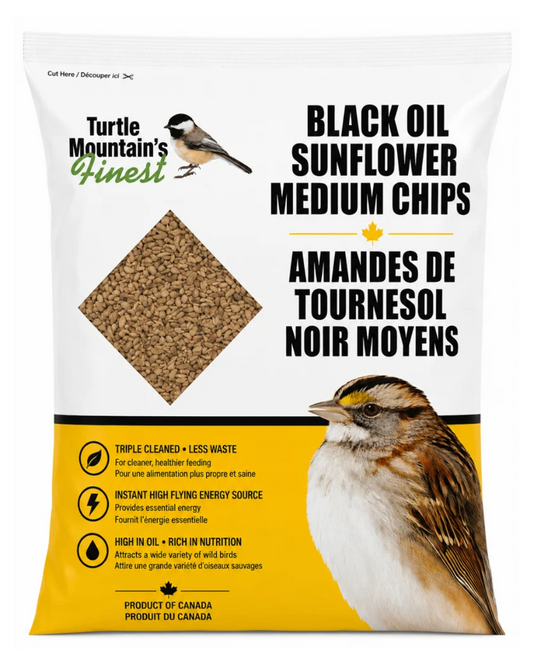 BLACK OIL SUNFLOWER MEDIUM CHIPS