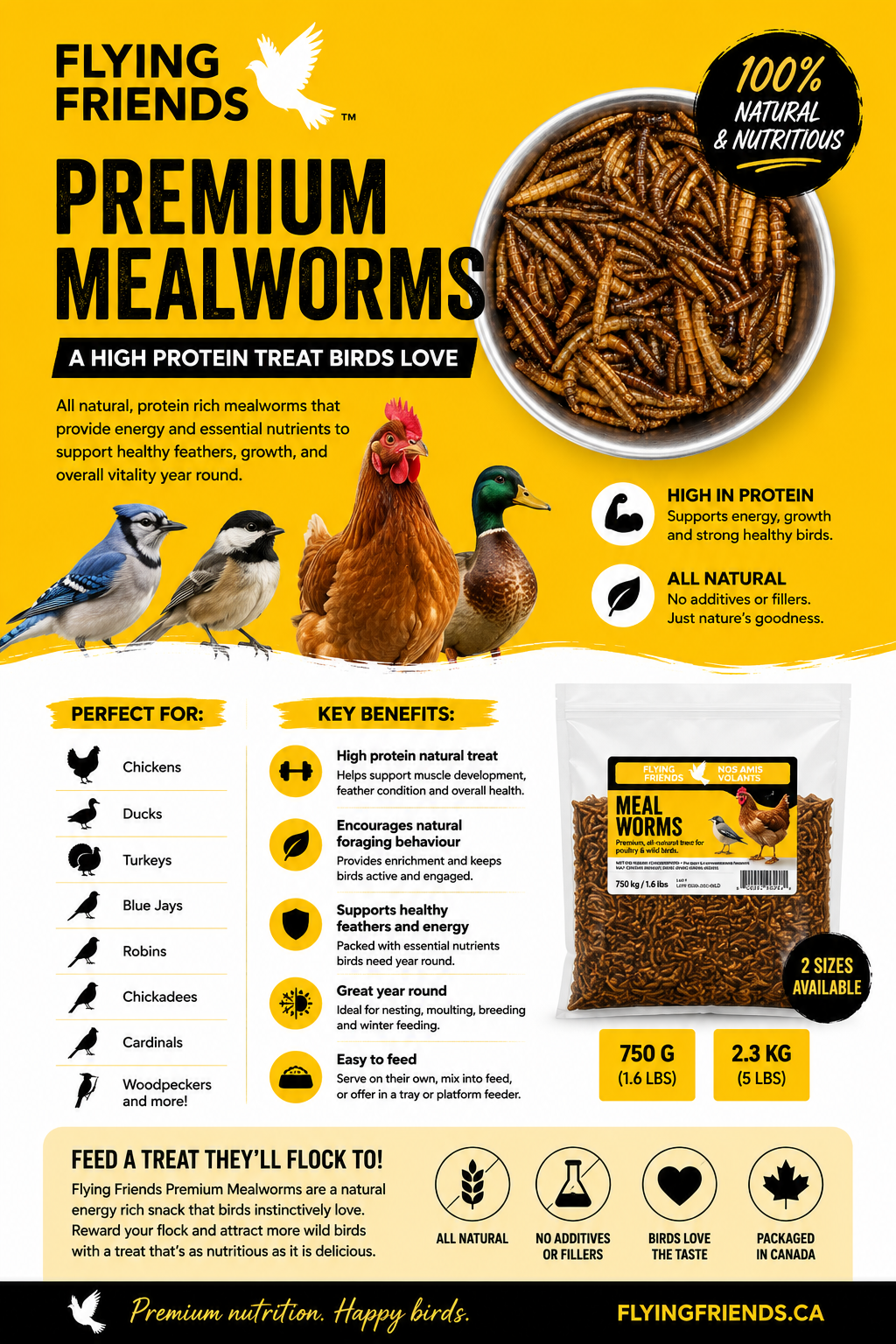 MEALWORMS DRIED 750G