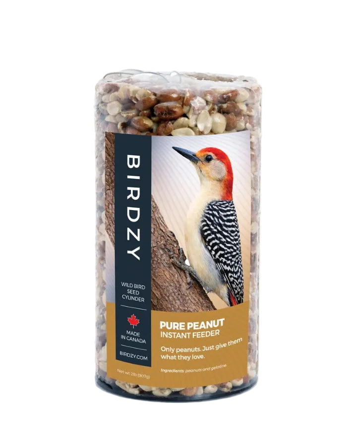PURE PEANUT BIRD SEED CYLINDER