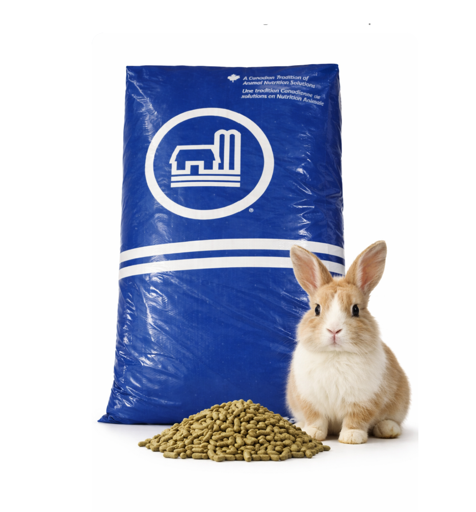 Masterfeeds Premium Rabbit Pellets – Complete Feed (25kg) – Country Depot