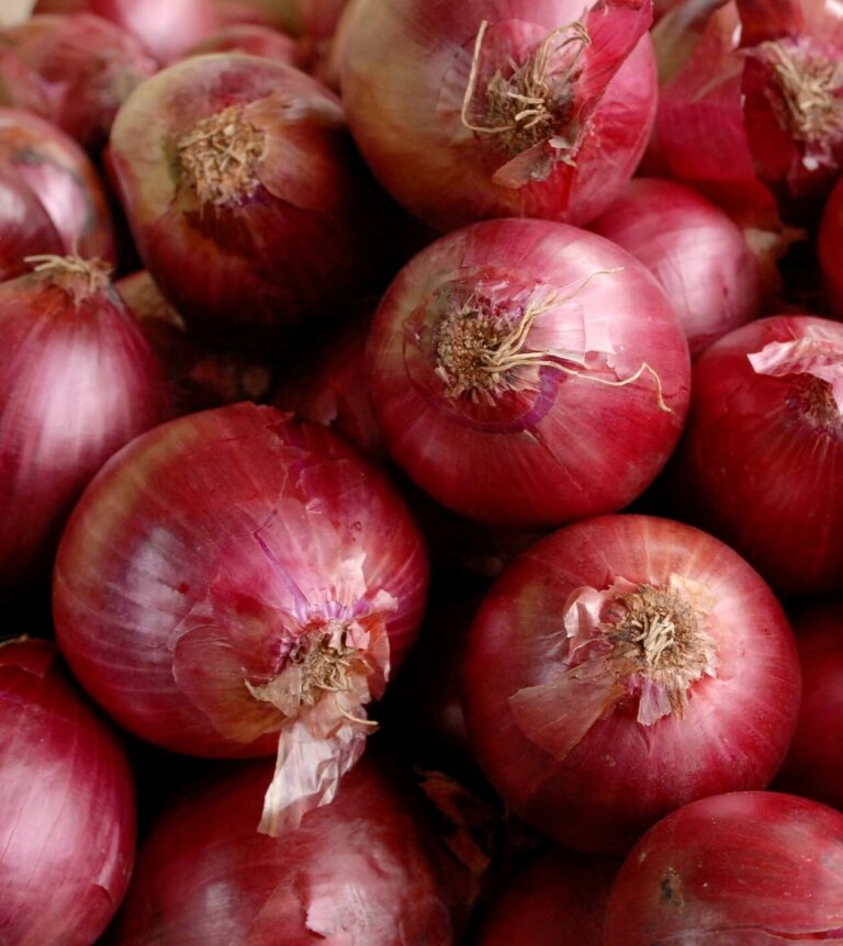 Red Onion Sets