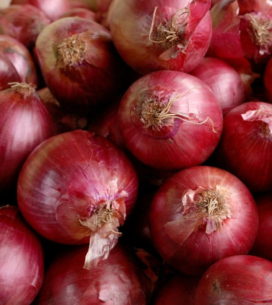 Red Onion Sets