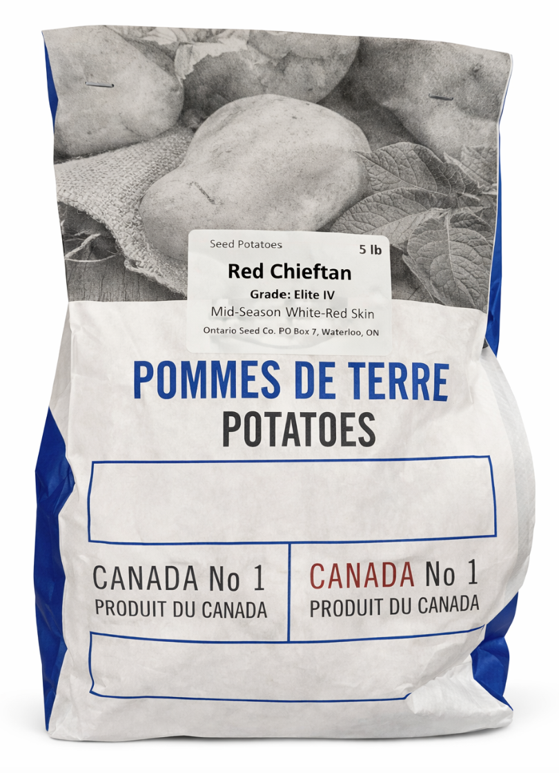 RED CHIEFTAN POTATOES