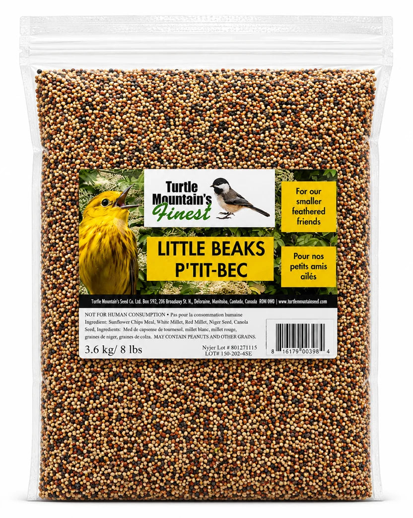 LITTLE BEAKS BIRD SEED