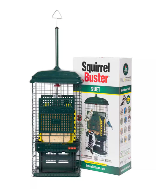 SQUIRREL BUSTER - SUET FEEDER
