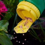 Miracle-Gro Shake N Feed All Purpose Plant Food 12-4-8 2.04 Kg