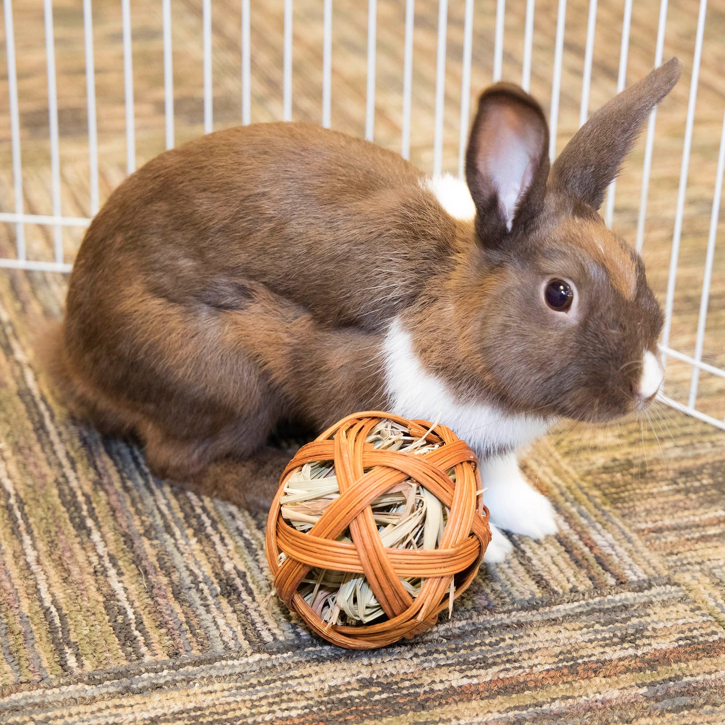 TREAT BALL WITH GRASS