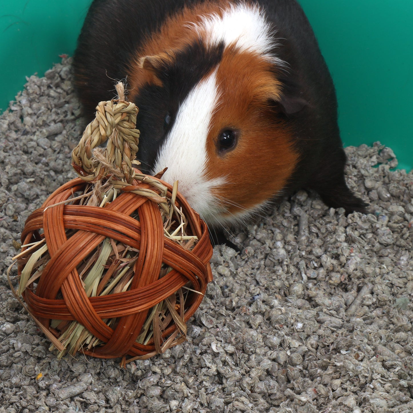 TREAT BALL WITH GRASS