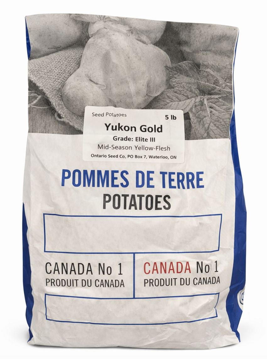 YUKON GOLD SEED POTATOES